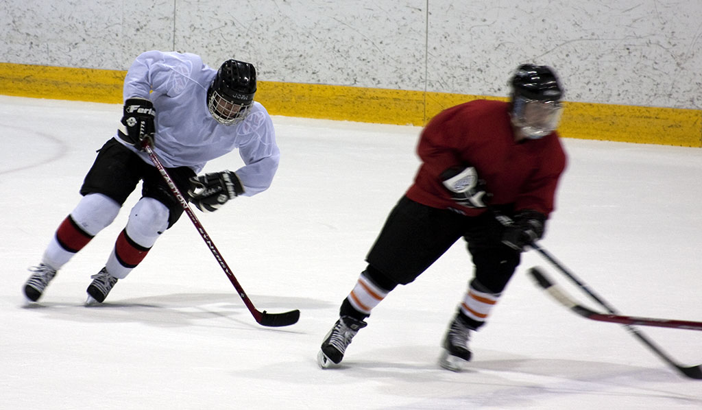 dgt_hockey (5)